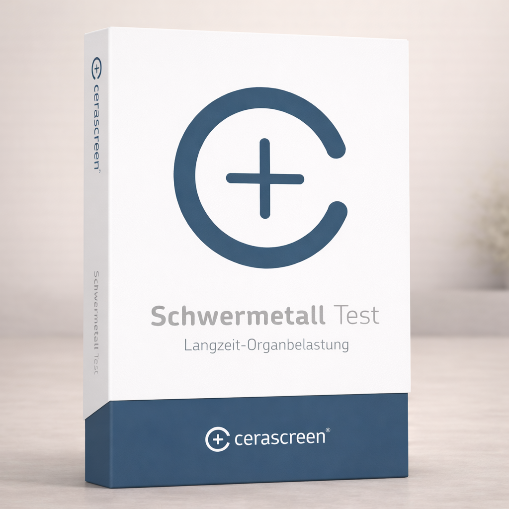 Schwermetall Test MECFS